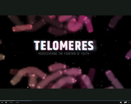 GaiaTV-Telomery-01