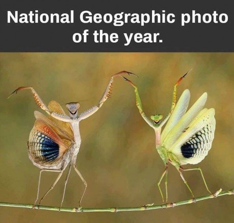 National-Geographics-Photo-of-the-Year