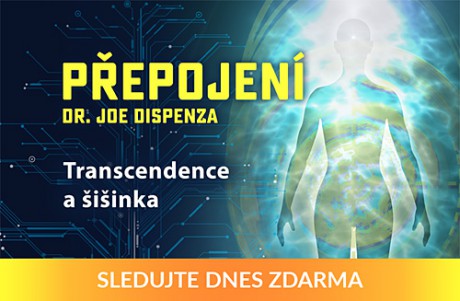 Predratovani-Transcendence-a-sisinka