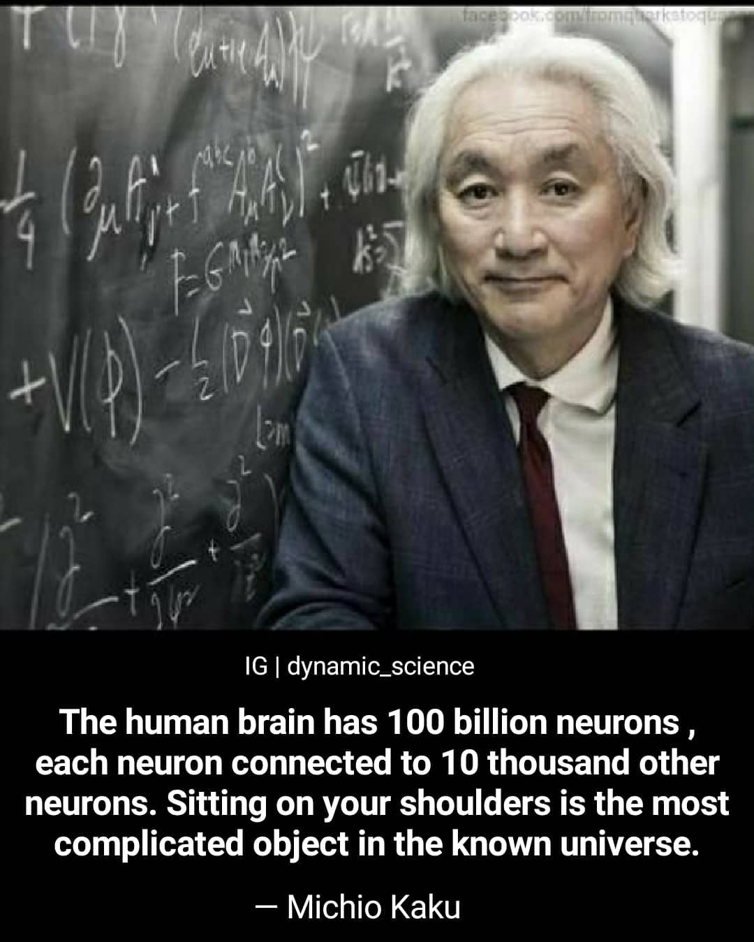 Michio-Kaku-human-brain