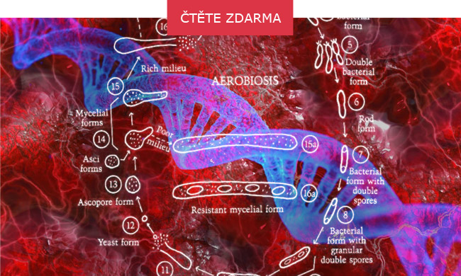 Alternativni-biologie-clanky