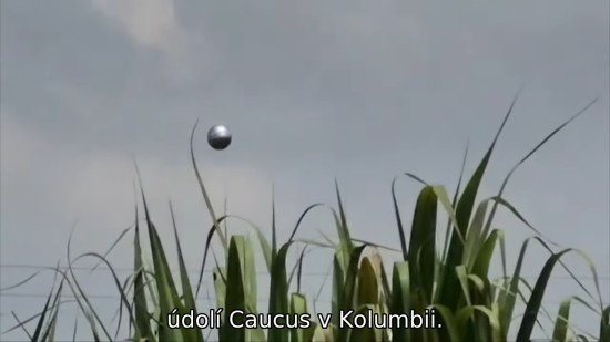 Koule Yumbo nad cukrovou třtinou